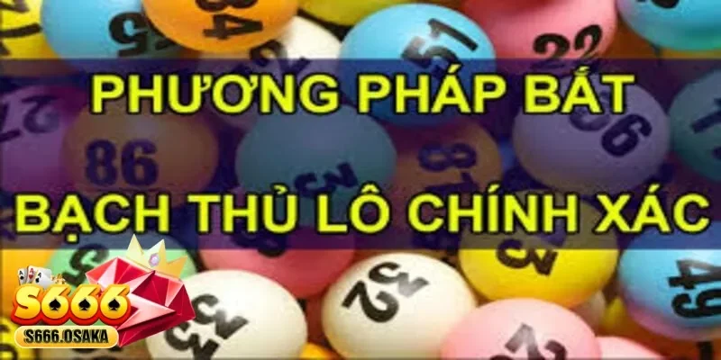 bắt bạch thủ lô bắt bạch thủ lô