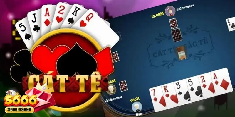 bài Catte bài Catte
