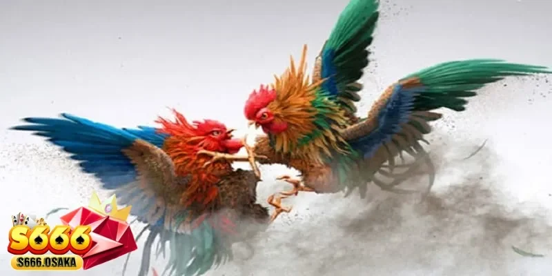 đá gà trực tiếp đá gà trực tiếp