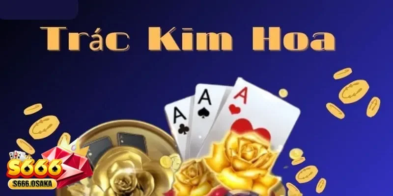 Trác Kim Hoa Trác Kim Hoa