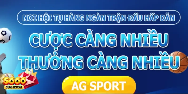 Đại Lý S666 Có khả năng marketing và quản lý khách hàng