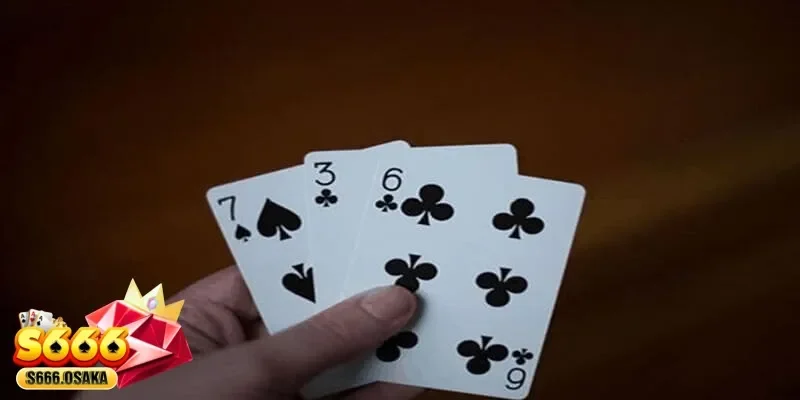 3 cây 3 cây