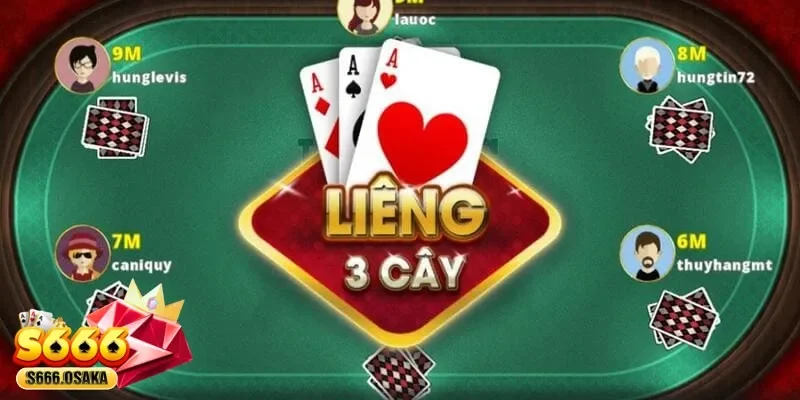 3 cây 3 cây